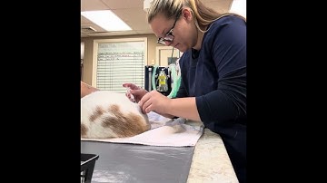 Skill #21: Administer Subcutaneous Injections