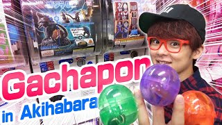 Gachapon in Akihabara!!Capsule Toy Adventure