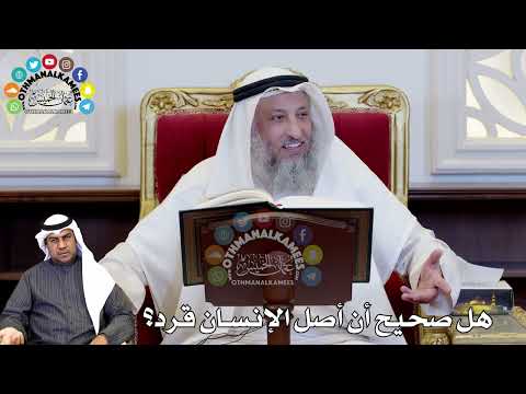 فيديو: بأي معنى كان بالنسبة لقرد جميل؟