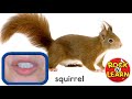 Nature and Movement Quiz