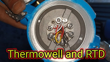 Thermowell and RTD.