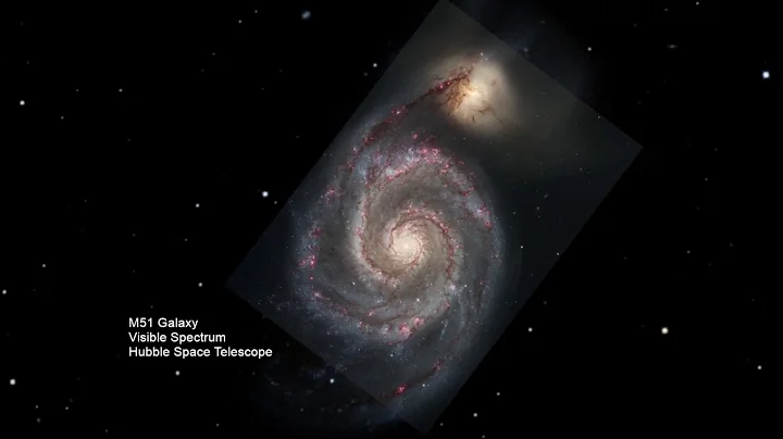 Night Sky (A Video by Shelby Edwards)