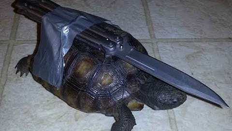 DnD -- Accurate BattleMaster