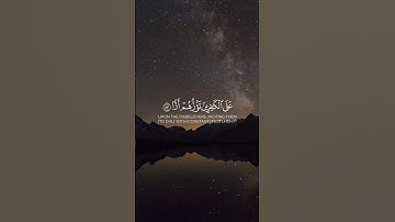 قرآن كريم| يوم نحشر المؤمنين الي الرحمن وفدا #قران_كريم #المصحف #لايك #حالات_واتس #مشاري_العفاسي