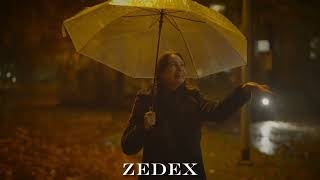 Zedex Music - I Dont Love You. Original Mix