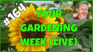 Do You Need a Greenhouse? (Q&amp;A)