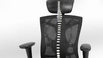 SIHOO V1 adjustable chair office chair with adjustable arms