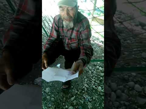 Aşık kul Niyazi