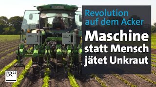 Händisches Unkraut-Jäten, Ade Maschine Übernimmt Abendschau Br24