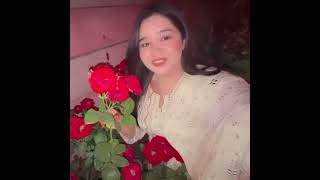 Sitara Yaseen Ga Waha Pa Sweera