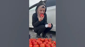 افشل عملية تهريب اضحك من قلبك ام سيف 