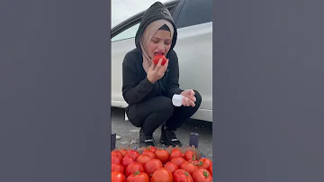 افشل عملية تهريب اضحك من قلبك ام سيف 