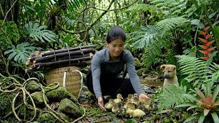 Han and Lulu went into the forest to get firewood and unexpectedly met wild ducklings