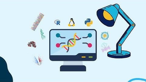 Become a Bioinformatics Hero | Complete 3-Month Practical Bootcamp