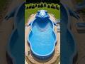 Building a Giant Ultra-Luxury Frog Pool 🐸