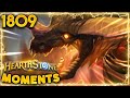 OH I HOPE You Didn't Need That, DID YOU? | Hearthstone Daily Moments Ep.1809