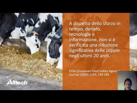 Video: Come prevenire le malattie del bestiame?