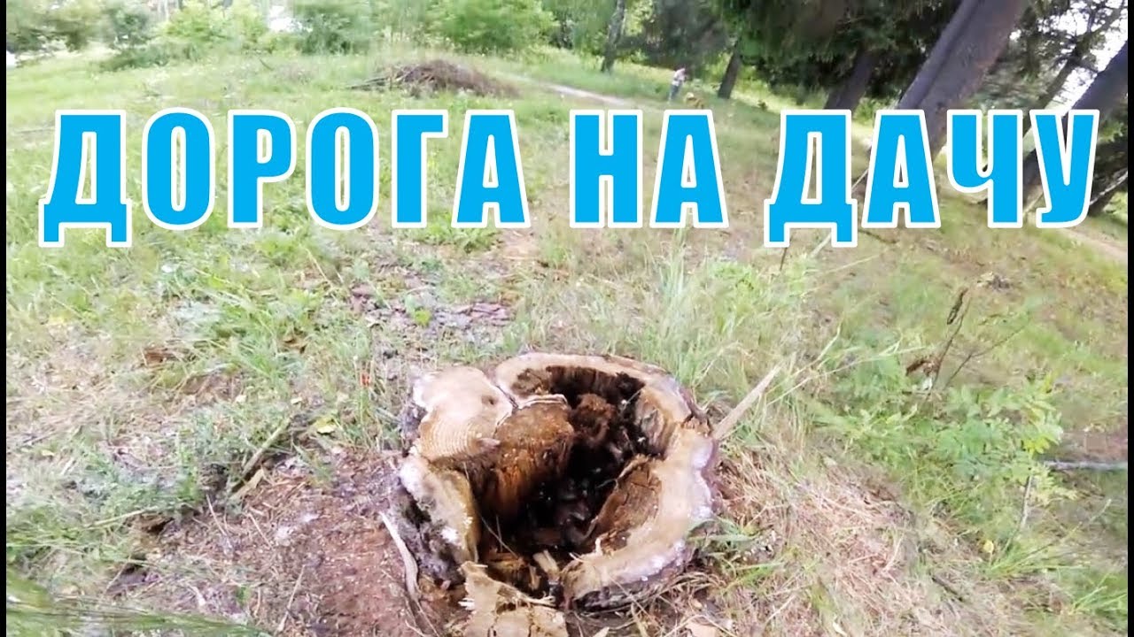 Газель на дачу