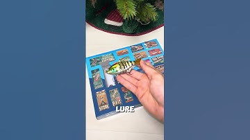 The best Christmas GIFT 🎁 #fish #adventcalendar