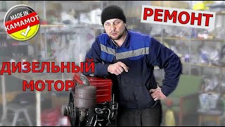 Дизельный мотоблок попал в ремонт. Разборка мотора. Неужели все дело в насосе?