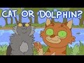 【10k (11k) sub-special | Cat or dolphin?】