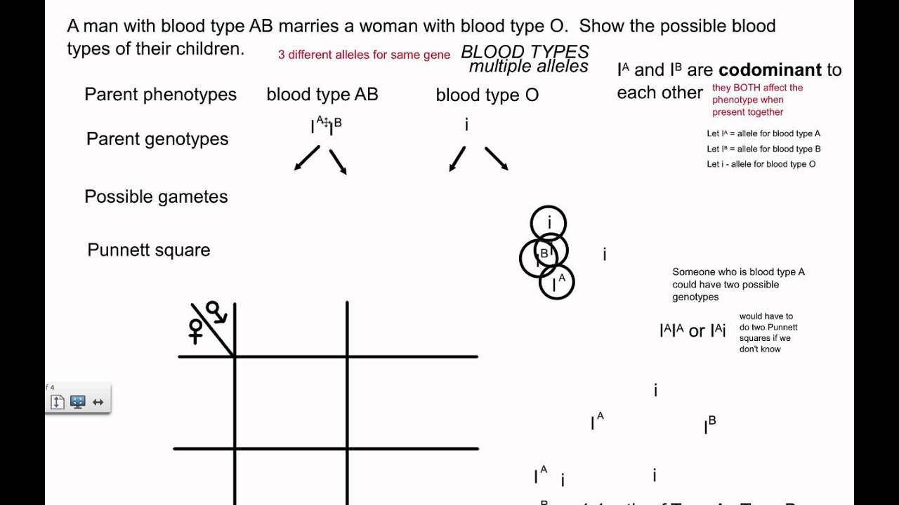 Genetic Crosses - Multiple Alleles, Blood Types (IB Biology)