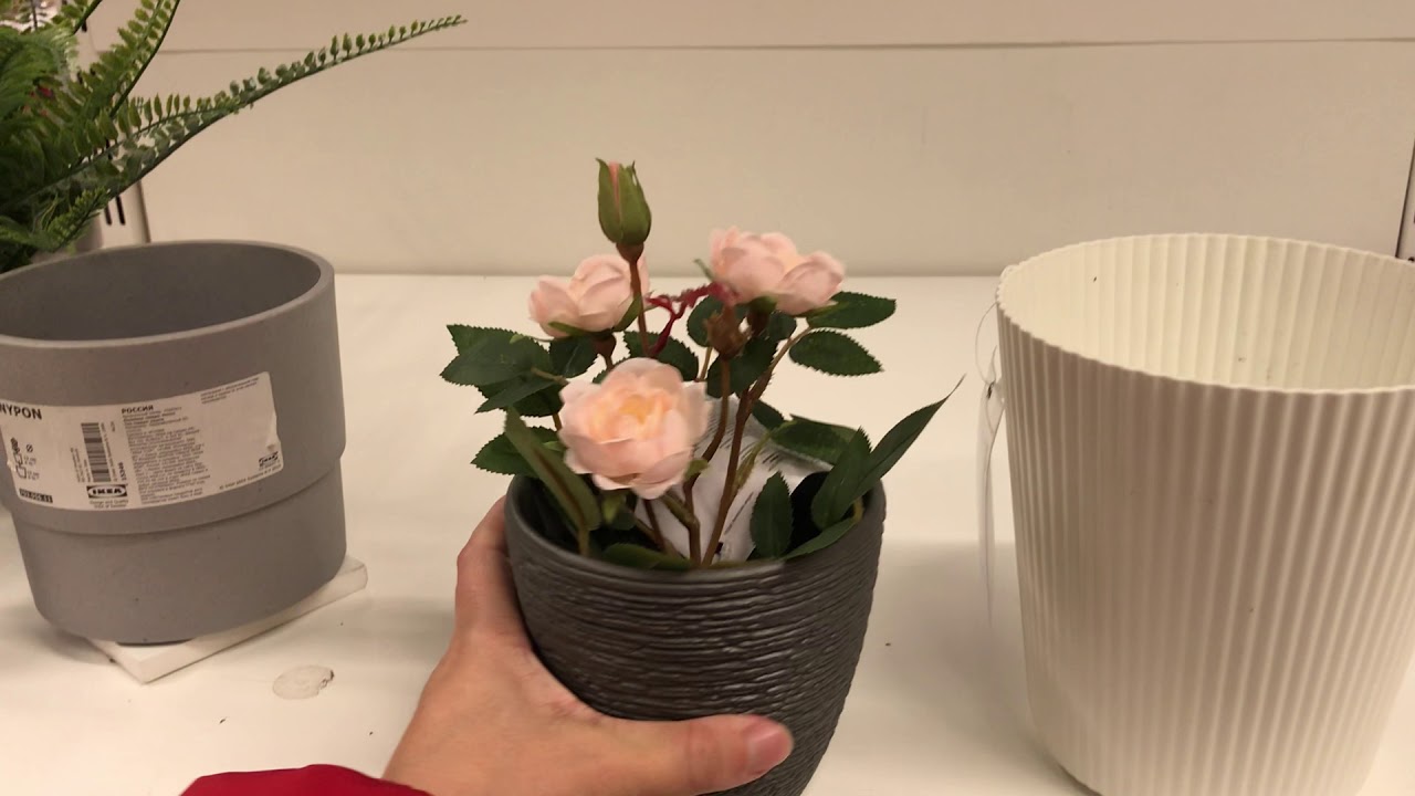 Как отпаривать искусственные цветы в домашних условиях