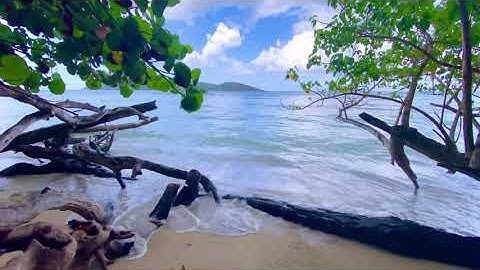 Soft waves and rain sounds. Pink noise  asmr. Beautiful Tropical Beach Ambience 3 hours.