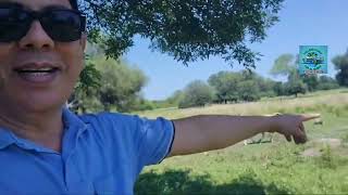 LA VERDE PROVINCIA DEL CHACO