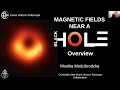 Magnetic Fields Near a Black Hole | The M87 Supermassive Black Hole in Polarized Light