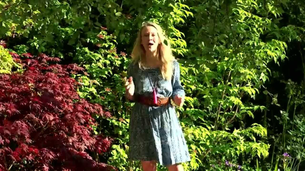 britain in bloom bbc RHS Chelsea Flower Show 2015 Preview