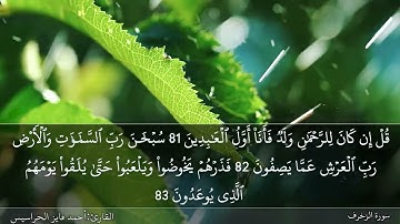 الصفحة 495 سورة الزخرف بصوت القارئ المهندس أحمد فايز الحراسيس