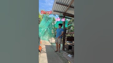 làm cây vợt Cá Siêu To Khổng Lồ để vớt 2 con cá KHỦNG lên hồ kính nuôi #fish #animals #pet #baopet