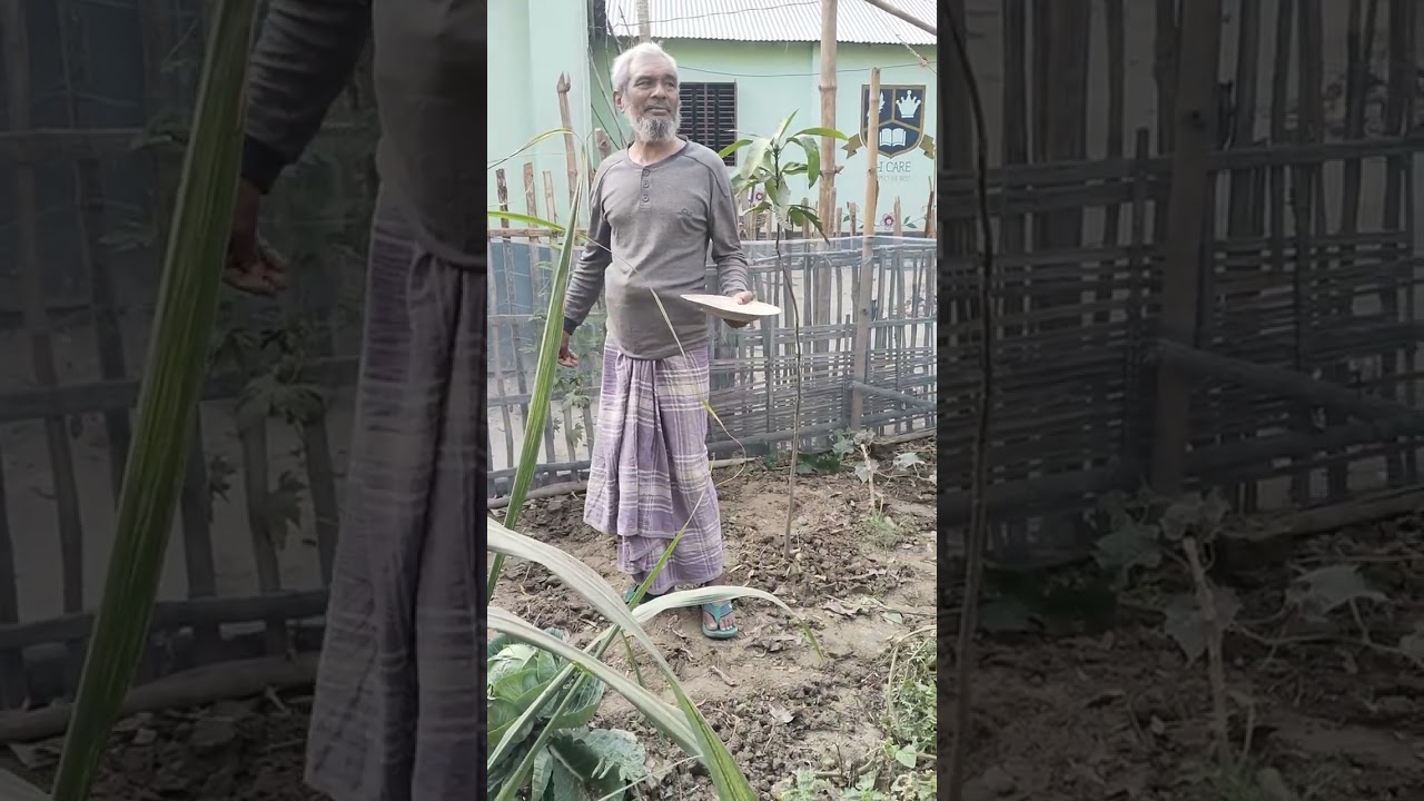 বলেছিলাম জামাইয়ের আরেকটি বাগান দেখাবো..এই যে দেখুন 