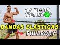 ✅ La MEJOR RUTINA FULLBODY con BANDAS ELÁSTICAS