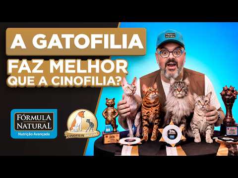 I Visited a Cat Show and Was Surprised by What I Saw | Cinofilia Digital