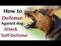 How to Defend against Dog Attack - Self Defence