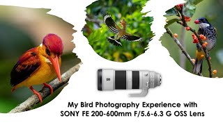 LIVE Taiping Bird Week 2021 - Day 3 - Bird Photography Sharing with SONY