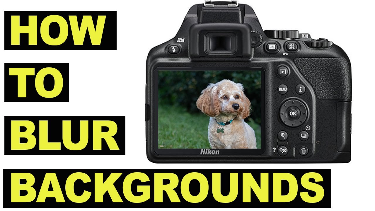 How To Blur Backgrounds - Depth of Field for beginners - Bokeh ...