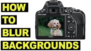 How To Blur Backgrounds - Depth of Field for beginners - Bokeh made easy! screenshot 4