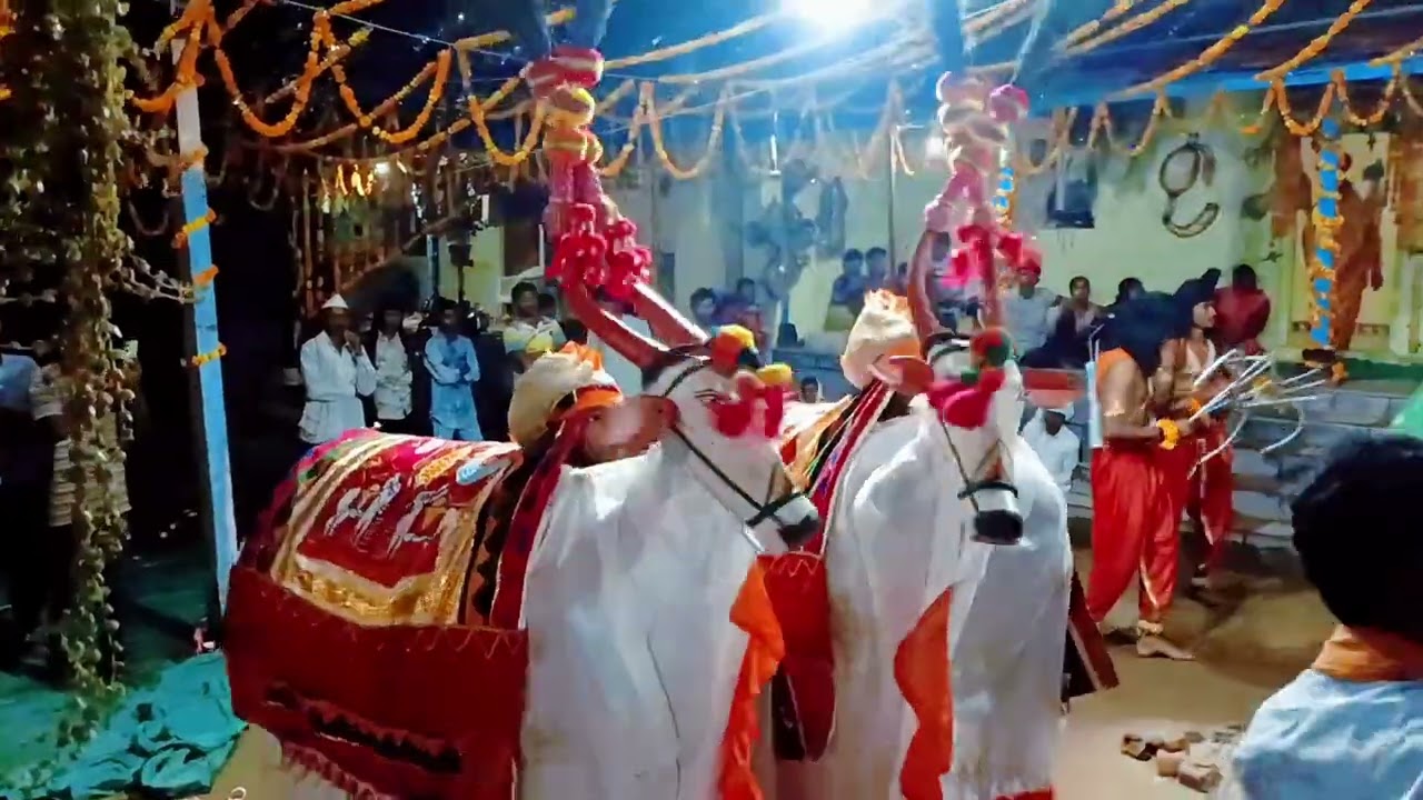 नंदी बैल नाचण विहिर गांव कर ❤️ like and comment sacrifices  my channel 