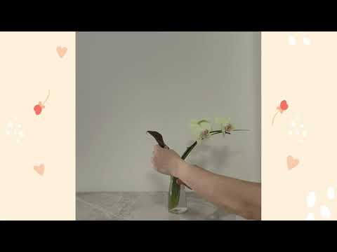 極簡插花：超簡單花瓶插花 flower ikebana