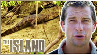 DEADLY Scorpions, Snakes &amp; Crocodiles 🐊 | The Island With Bear Grylls | S02 E01 | Thrill Zone