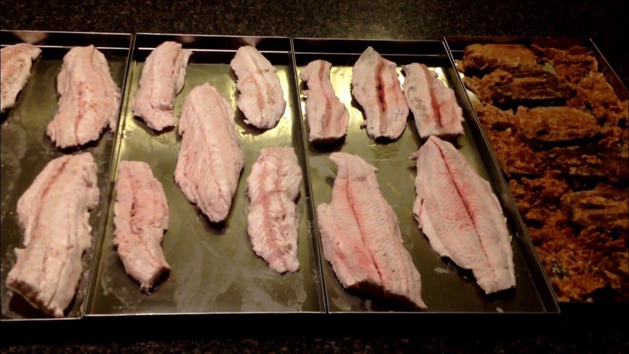 Saltwater Trout and Mackerel Freeze Dried Fish Home Freeze Dryer