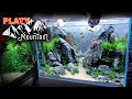 Aquascape tutorial platy fish mountain aquarium how to step by step planted tank guide