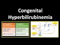 Congenital hyperbilirubinemia  crigler najjar syndromegilbert syndromedubinjohnson syndrome