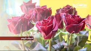 مزارع في أربيل يزرع الورود الهولندية لسد حاجة السوق المحلي في كردستان ومناطق أخرى