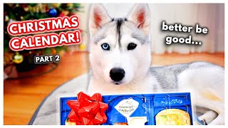 My Dog Opens MORE of Her Ridiculous Advent Calendar! (Skaya's Advent Calendar Adventures - PART 2)