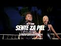Sente Za Pill Instrumental By Kin Bella X Nandor Love DUB Mental Sente Za Pill Instrumental By Kin Bella X Nandor Love DUB Mental
