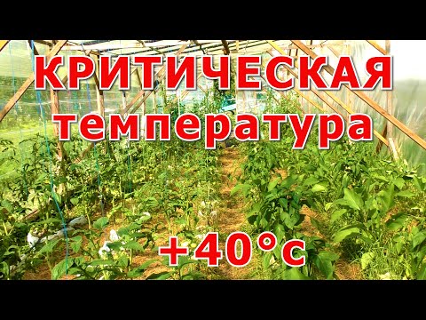НЕ ДОПУСКАЙ ЭТОГО